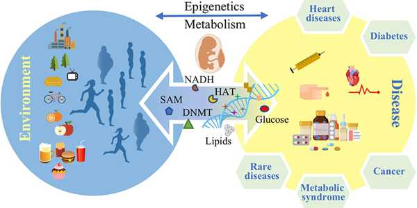 Understanding The Role Of Epigenetics In Personalized Health