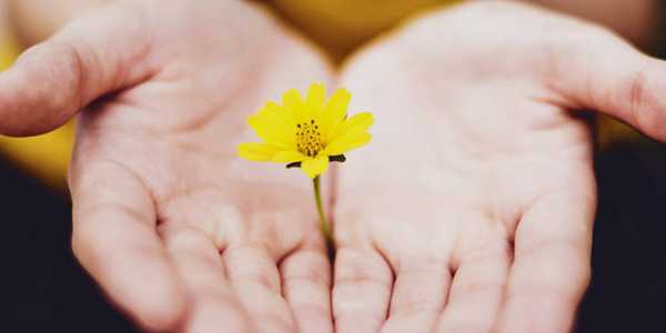 18 Healing Quotes For Inspiration And Encouragement